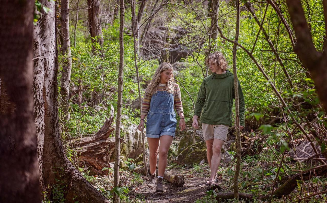 Eden Cabin Forested Tiny Home On Lookout Mtn Чаттануґа Екстер'єр фото
